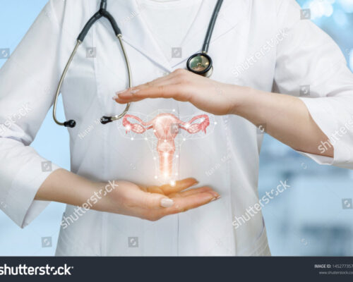 stock-photo-the-concept-of-protecting-and-supporting-the-health-of-the-female-uterus-1452773576